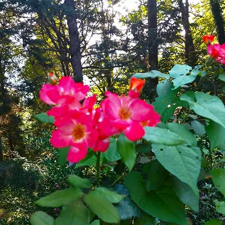 Appartement Elementi Terra Magliolo