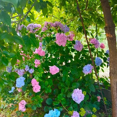 Appartement Elementi Terra