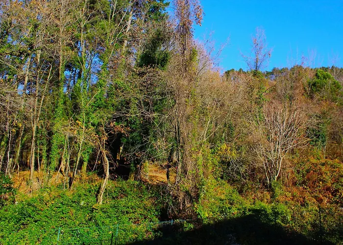 Lägenhet Elementi Terra Magliolo