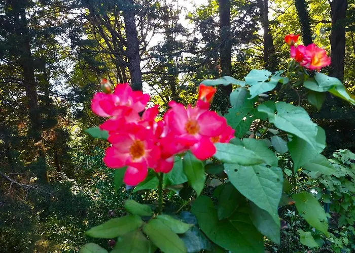 Lägenhet Elementi Terra Magliolo