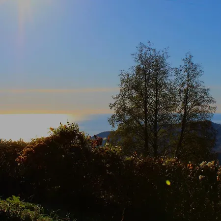 Daire Elementi Terra