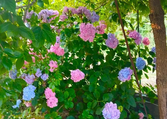 Apartment Elementi Terra